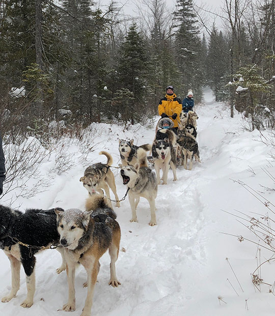 Andrew Potter on a dogsled