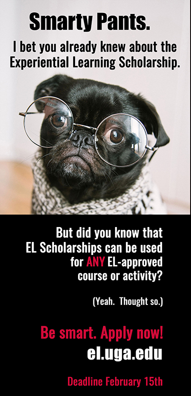EL Scholarships are open!